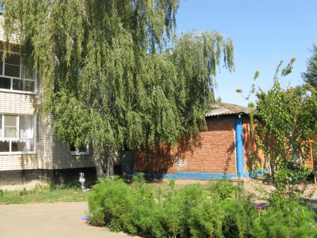Детский сад №43