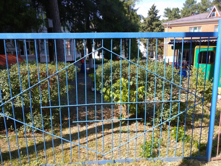 Детский сад №166