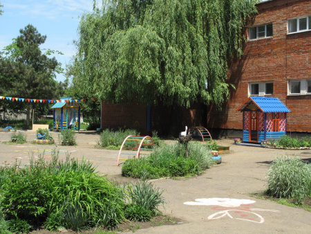 Детский сад №43