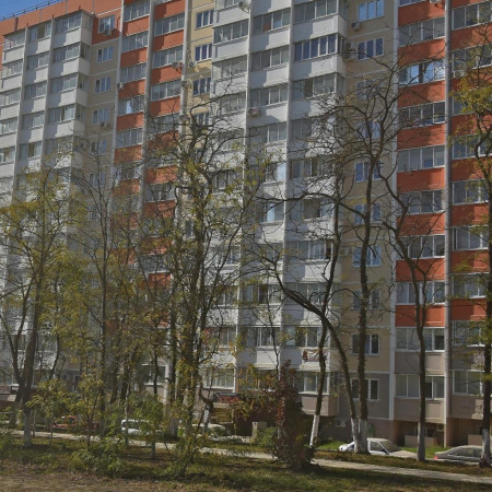 Школа киокушинкай каратэ
