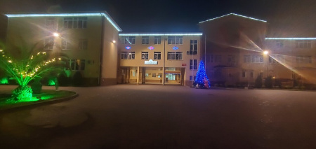 Школа самбо